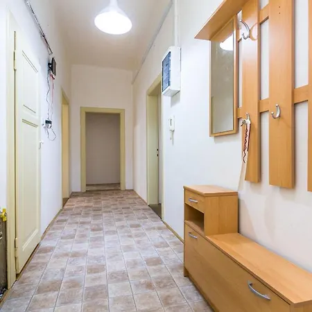 Apartment Jindricha Plachty *